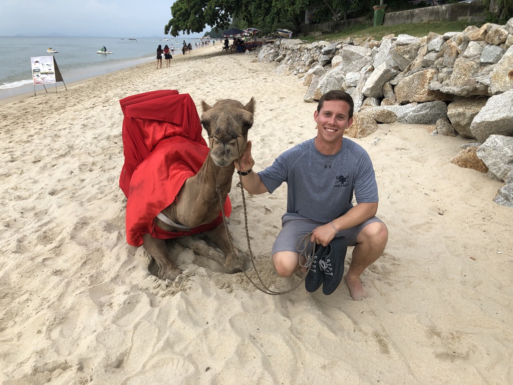 The Camel of Penang, Malaysia